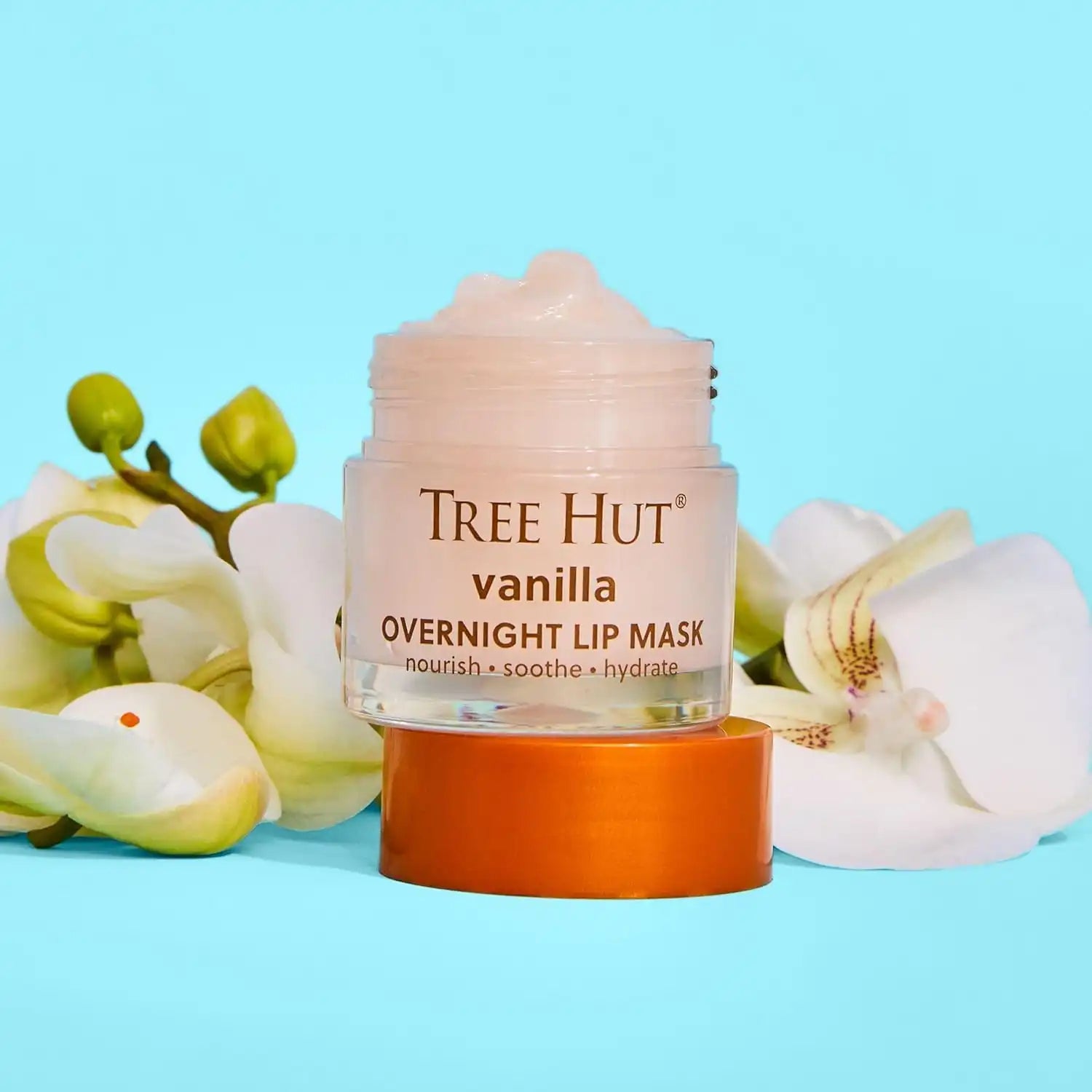 treehutshea.de.com